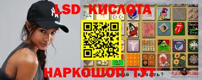 прущие грибы Ирбит